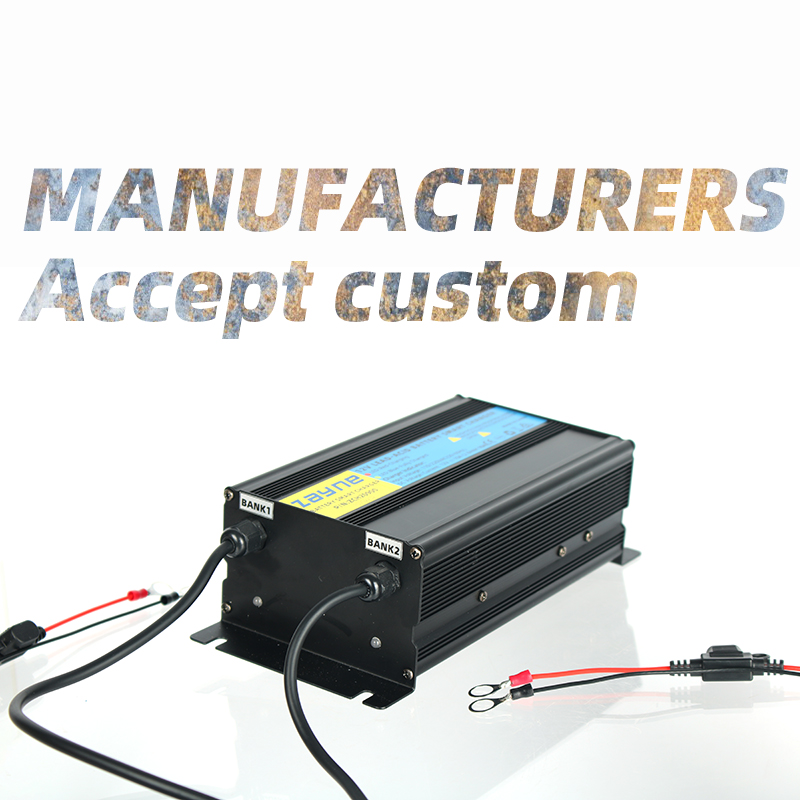 2-Bank 20A 10Amp Per Bank 12V  - огляд і ціна Agm Deep Cycle Battery